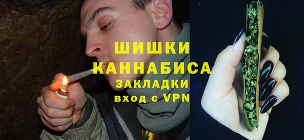прущие грибы Покров