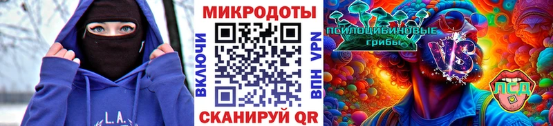 Псилоцибиновые грибы Psilocybe  Шали 